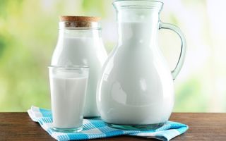 Sữa: đặc tính hữu ích và chống chỉ định