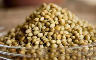 Semințele de cânepă: beneficii și daune, cum să germineze, cum arată, foto