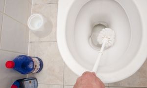 Cum să curățați toaleta de calcar: remedii populare și specializate