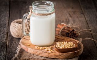 Laptele de cedru: beneficii și daune, proprietăți medicinale, contraindicații