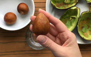 Este posibil să mănânci o sămânță de avocado: beneficii și daune pentru corpul uman