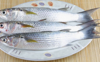 Peștele mulet: beneficii și daune, compoziția chimică, conținutul de calorii, foto