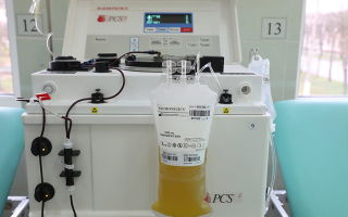 Даряване на кръвна плазма: противопоказания, какво е опасно, ползите от даряването