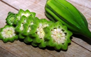 Okra (okra): ce fel de legume este, fotografia unei plante, beneficiile și daunele pentru sănătate